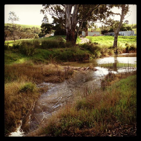 River Cottage Barossa -Self Contained-30 Acres-360 Degree Views-Netflix -Wine-Wifi - Darwin Holiday 3
