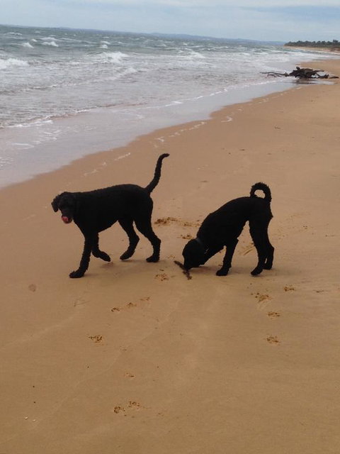 River Cottage Eagle Point - Darwin Holiday 1