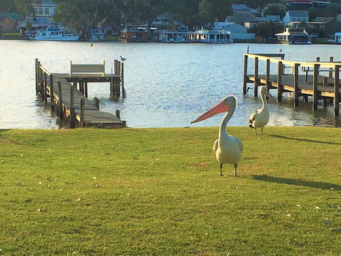 Riverfront Getaway - Mannum - Darwin Holiday 0