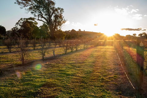 Riverview Farm & Guesthouse - Darwin Holiday 3