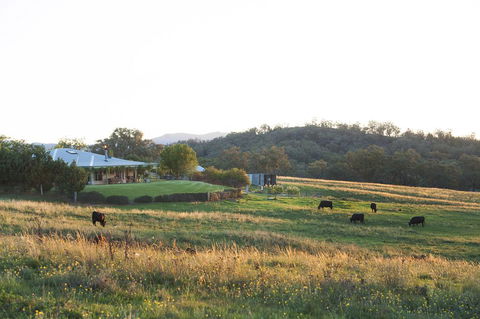 Rosby Guesthouse And Studio - Darwin Holiday 0