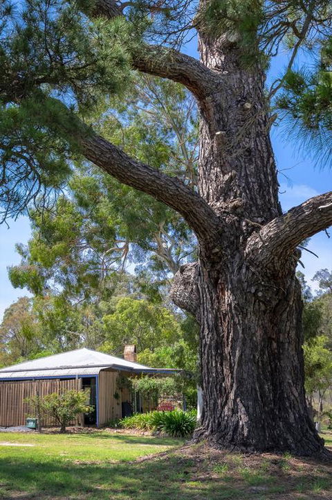 Rose Cottage - Darwin Holiday 3