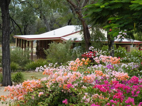 Rubyvale Motel & Holiday Units - Darwin Holiday 3