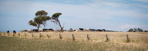 SALT - 37 Oceanview Drive - Darwin Holiday 2