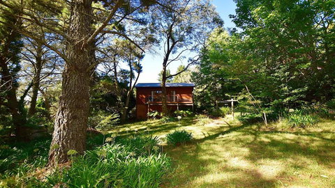 Santosha Glade Near The Everglades - Darwin Holiday 2