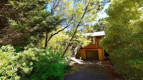 Santosha Glade Near The Everglades - Darwin Holiday 0
