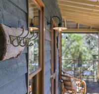 Scribbly Gum - Darwin Holiday