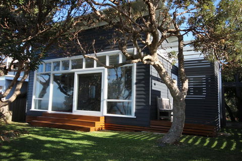 SEA URCHIN - Darwin Holiday 0