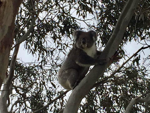 Seas The Day - Darwin Holiday 1