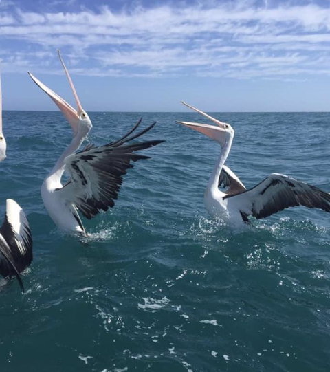 Seas The Day - Darwin Holiday 3