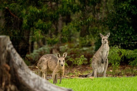 Secura Lifestyle Countryside Kalaru - Darwin Holiday 0