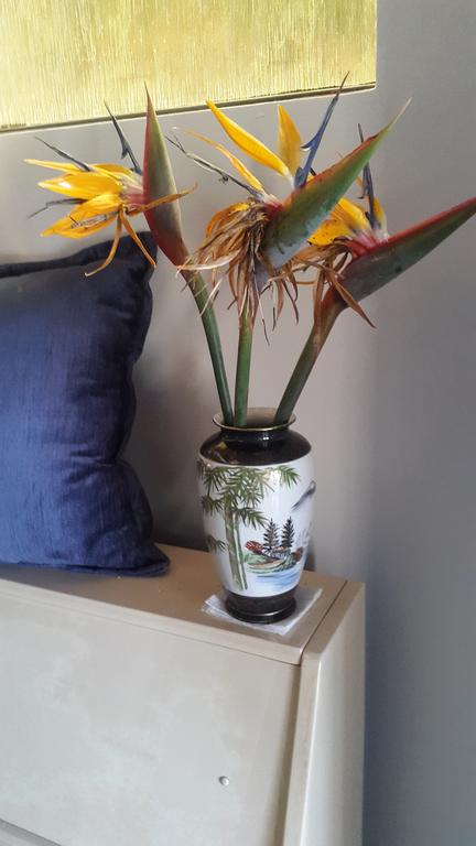 Serenity - Darwin Holiday 3