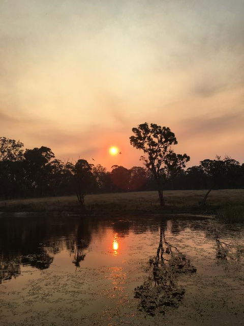 Serenity On Stanthorpe - Darwin Holiday 2