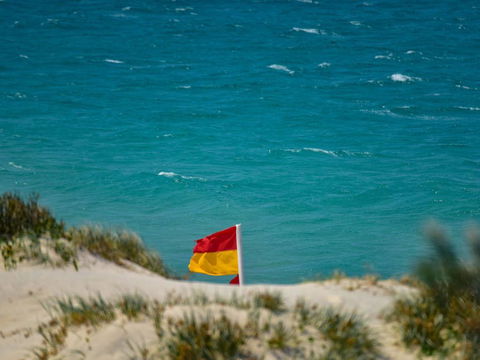 Shady Treez - Pet Friendly - Darwin Holiday 1