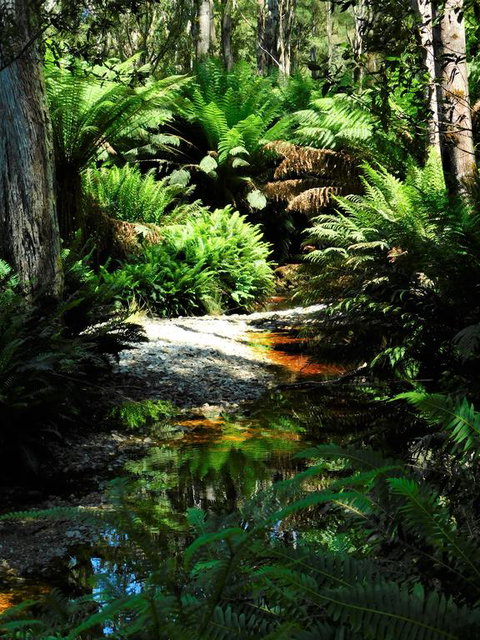 Shakespeare's Wilderness Chalet - Darwin Holiday 3