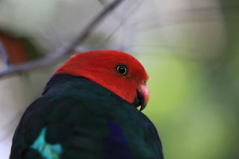 Shalimar - Darwin Holiday 3