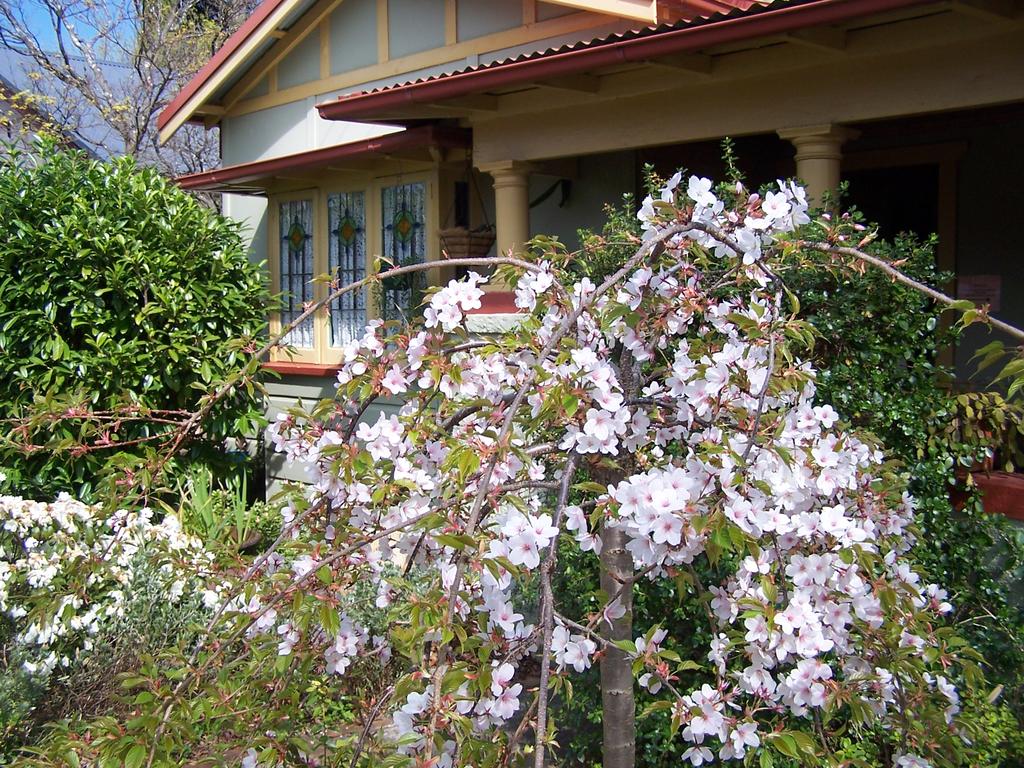 Katoomba NSW Darwin Holiday