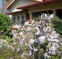 Shelton-Lea Bed  Breakfast - Darwin Holiday