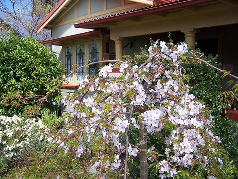 Shelton-Lea Bed & Breakfast - Darwin Holiday 0