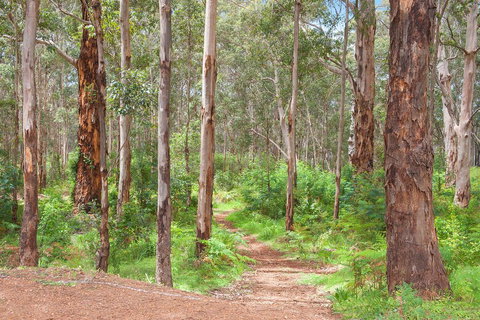 Shiraz Studio - Darwin Holiday 1