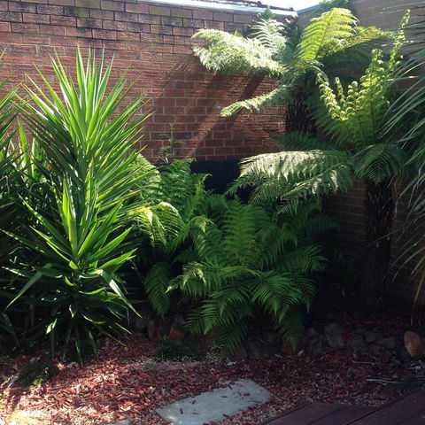 Short Stays Gippsland Trafalgar - Darwin Holiday 3