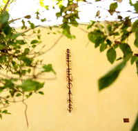 Siggy's Perth Accommodation - Darwin Holiday