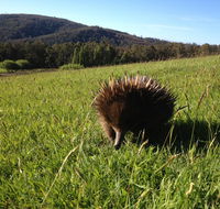 Silver Ridge Retreat