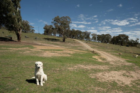 Sithuri Tiny House - Darwin Holiday 3