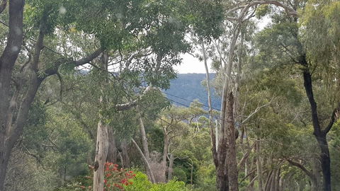 Six Seasons - Halls Gap - Darwin Holiday 3