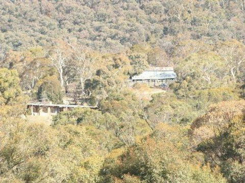 Snowy Wilderness - Darwin Holiday 1