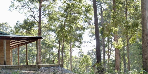 Southern Forest Escape Pemberton - Darwin Holiday 1