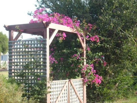 Southern Vales Bed & Breakfast - Darwin Holiday 3