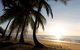 Spice At Oak Award Winning Luxury Absolute Oceanfront House Oak Beach Near Port Douglas - thumb 1