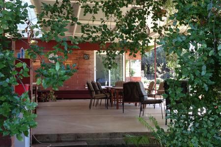 Sue's Sanctuary - Darwin Holiday 1