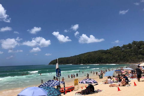 Sunshine Coast Cottage - Darwin Holiday 3