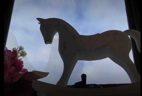 Sweet Home On Elgar - Darwin Holiday 3