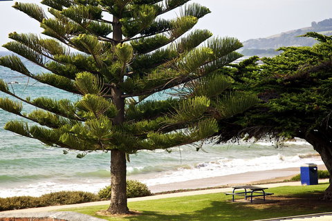 Penguin Beachfront Apartments - Darwin Holiday 9