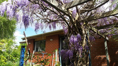 Birch Lane - Darwin Holiday 42