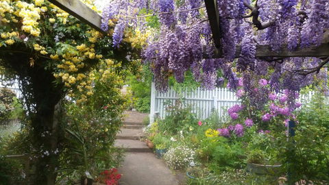 Birch Lane - Darwin Holiday 20