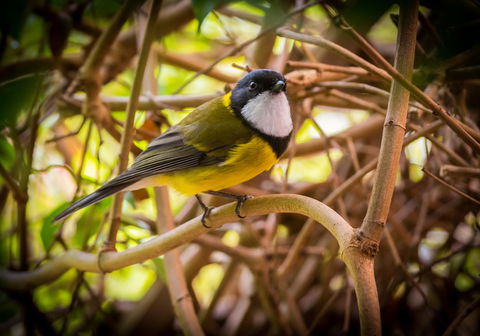 Parnella Kettering - Darwin Holiday 10