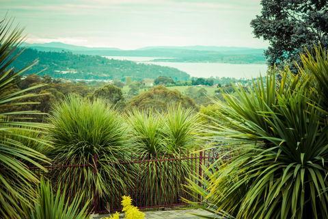 The Hobart Entrance - Darwin Holiday 35
