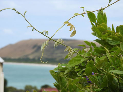 Ellie\'s Cottages - Darwin Holiday 3