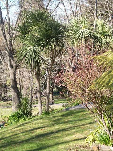 Lucinda B&B - Darwin Holiday 23