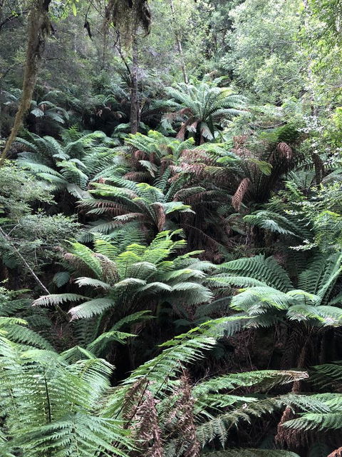Corinna Wilderness Village - Darwin Holiday 12