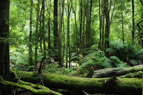 Corinna Wilderness Village - Darwin Holiday 37