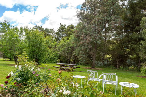 Cambridge House Bed & Breakfast - Darwin Holiday 21