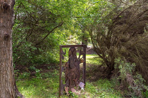 Cambridge House Bed & Breakfast - Darwin Holiday 17