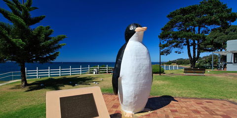 Penguin Waterfront Escape - Darwin Holiday 4