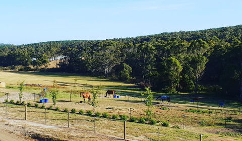 Lockleigh Park - Darwin Holiday 19