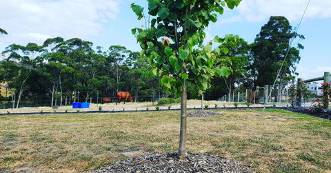 Lockleigh Park - Darwin Holiday 5
